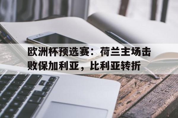 欧洲杯预选赛：荷兰主场击败保加利亚，比利亚转折的简单介绍